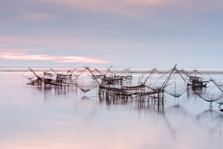 Überleben in der modernen Welt